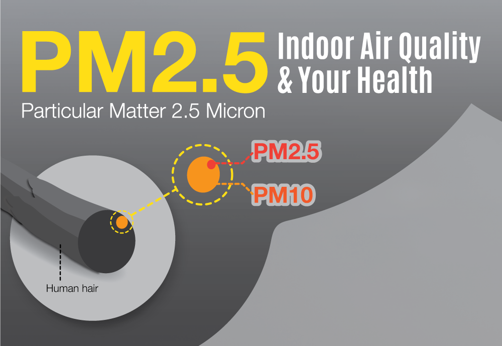 What is PM2.5 particulate matter?